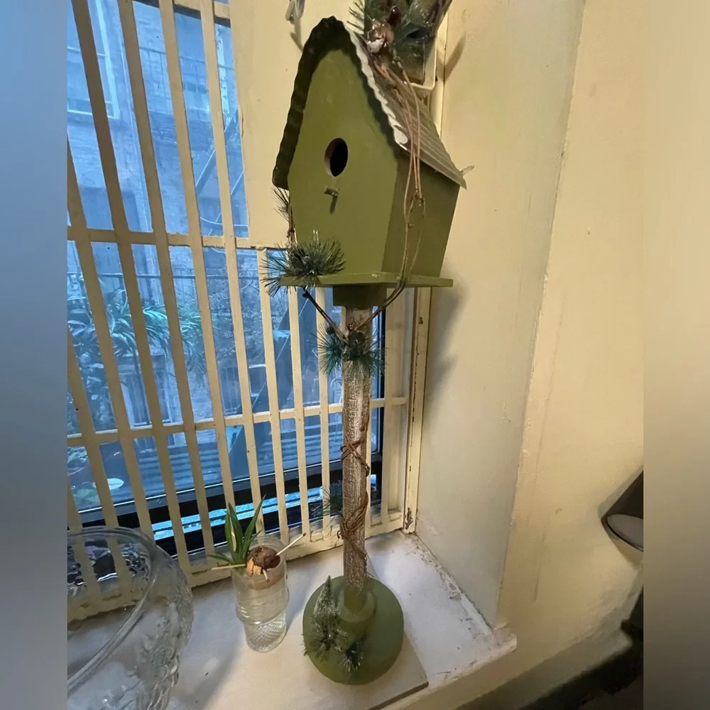 Birds feeder perfect for the spring, beautiful bird, going to come by